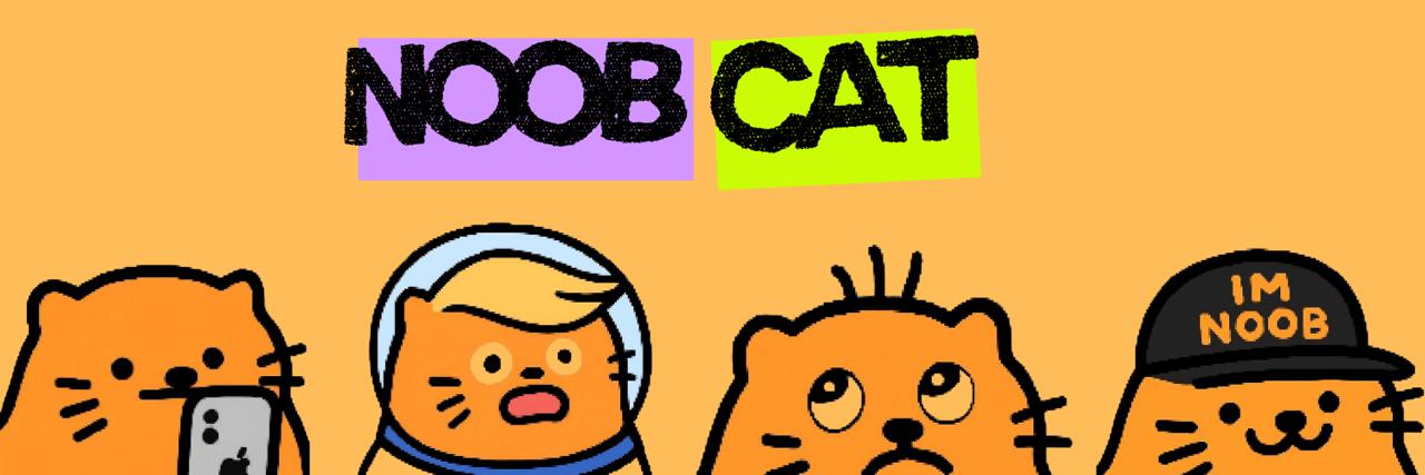 NOOB CAT Banner